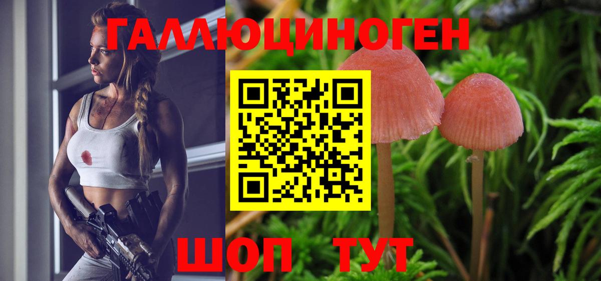 купить   Вход с VPN  Назарово  Псилоцибиновые грибы GOLDEN TEACHER 